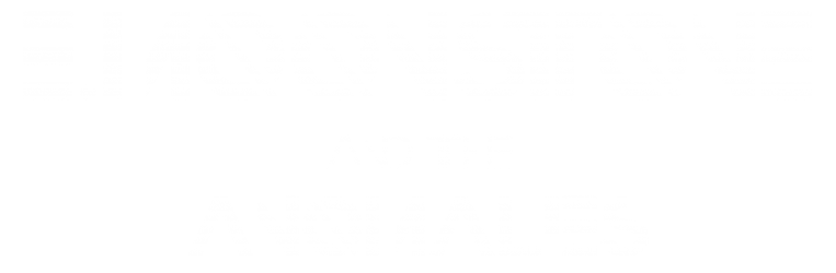 Emil Moonstone and The Anomalies