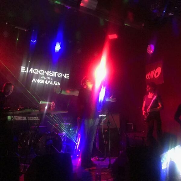 42840334_2067568696597762_3541049709185466368_n